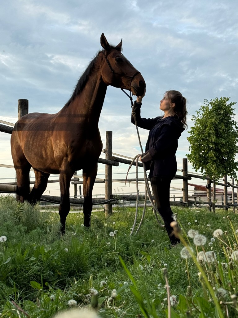 Pferdemasseurin Amelie Klein mit Pferd, mobile Pferdemassage Wien, Niederösterreich und Burgenland