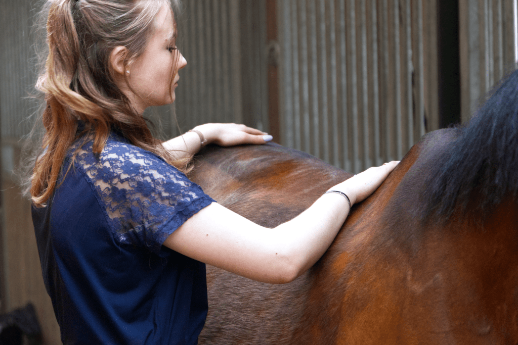 Pferdemassage am Rücken durch Amelie Klein, mobile Pferdemassage Wien, Niederösterreich, Burgenland