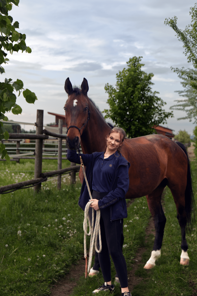 Einfühlsame Arbeit mit Pferden, persönliche Betreuung durch Amelie Klein von EquiCare